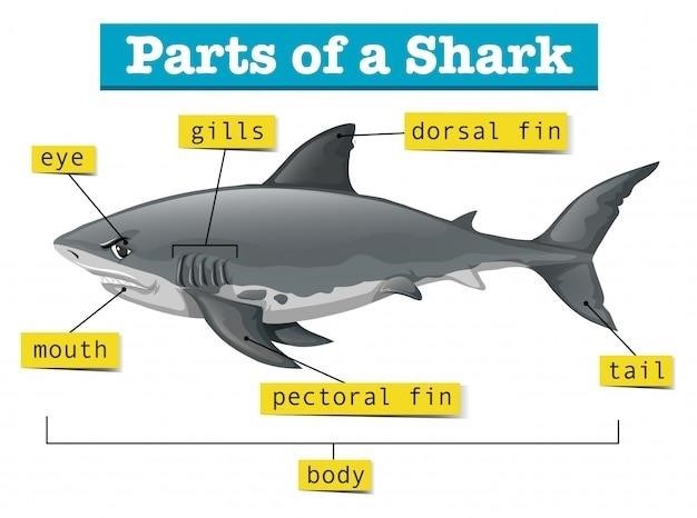 shark dlx manual