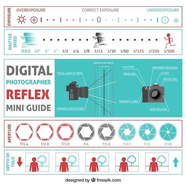 nikon d7100 manual